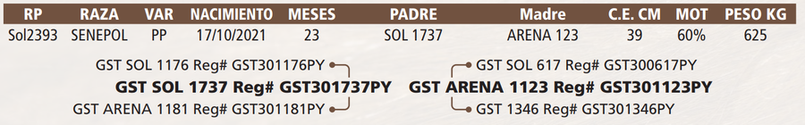 Lote LOTE 4 DE BOZAL