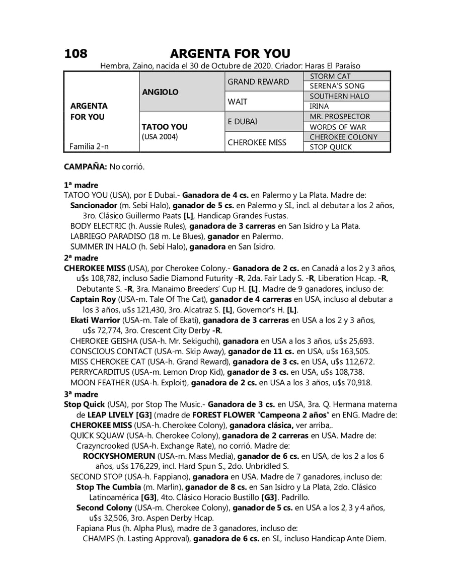 Lote ARGENTA FOR YOU