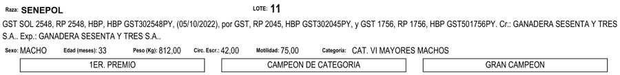 Lote LOTE 11