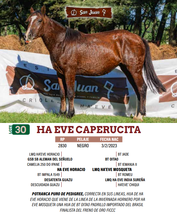 Lote LOTE 30