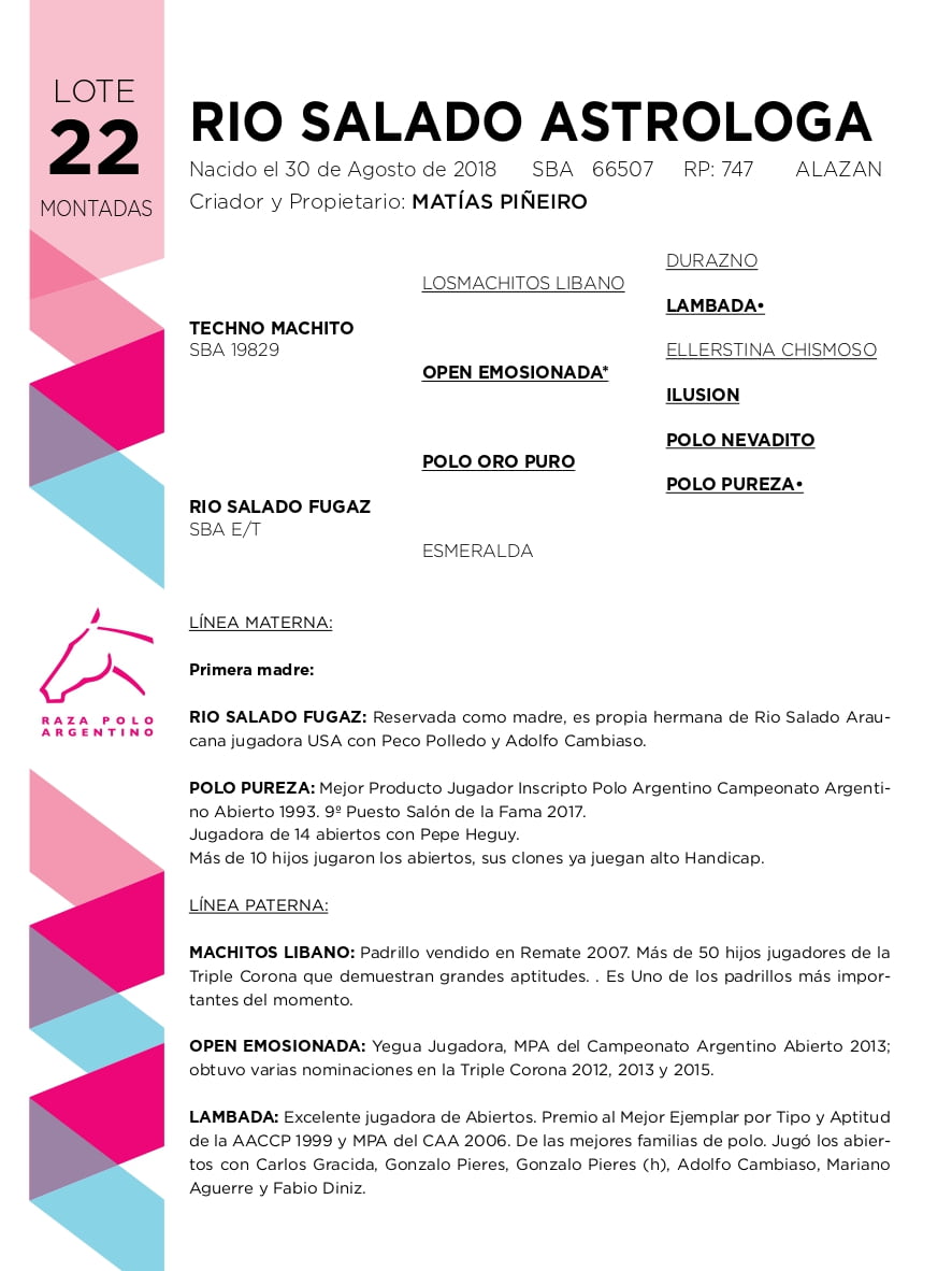 Lote RIO SALADO ASTROLOGA (TECHNO MACHITO - RIO SALADO FUGAZ)