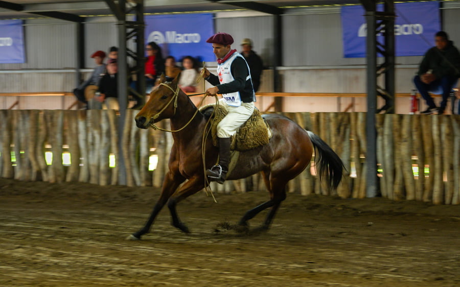 Lote ATALAYA COSCOJA