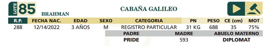 Lote LOTE 85