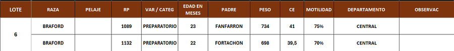 Lote LOTE 6