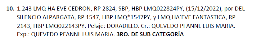 Lote LOTE 10