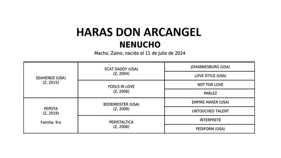 Lote NENUCHO