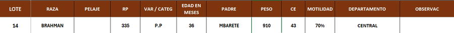 Lote LOTE 14