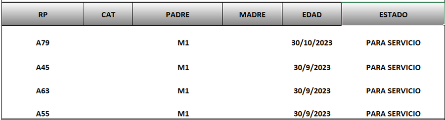 Lote LOTE 61