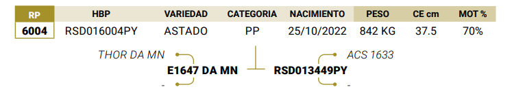Lote LOTE 26