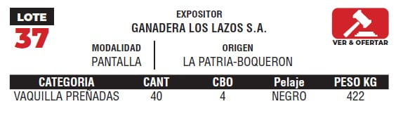 Lote LOTE 37- POR PANTALLA