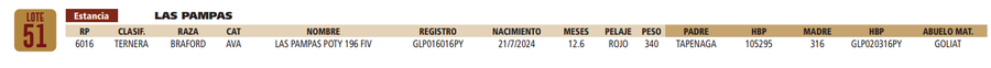 Lote LOTE 51