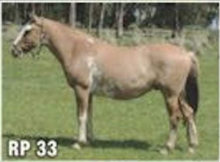 Lote RECOMENDADO DEL QUEBRACHAL