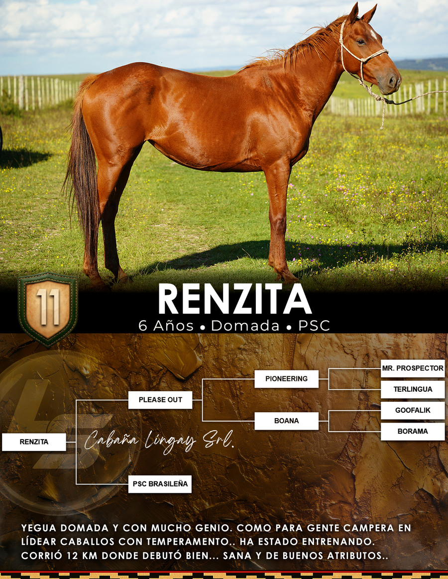 Lote RENZITA