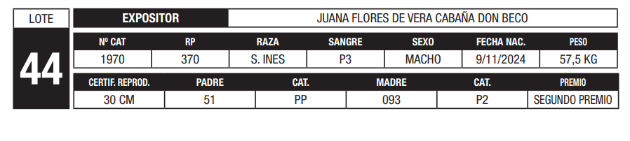 Lote LOTE 44