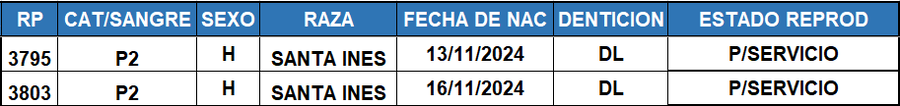 Lote LOTE 59
