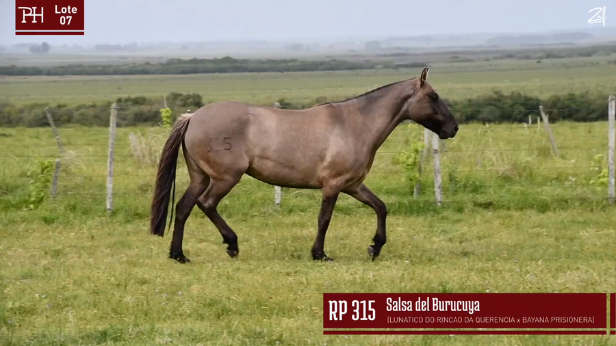 Lote SALSA DEL BURUCUYA