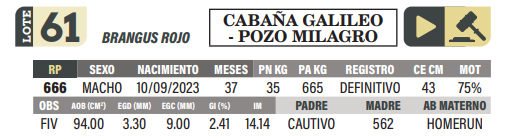 Lote LOTE 61