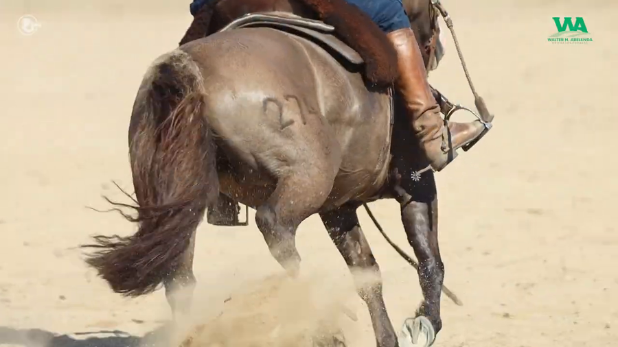 Lote IRACEMA JOSE IGNACIO