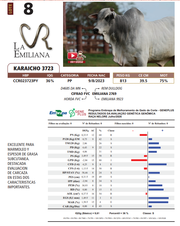 Lote LOTE 8