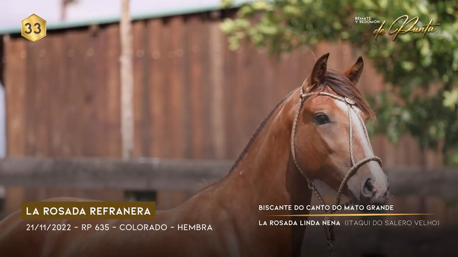 Lote LA ROSADA REFRANERA