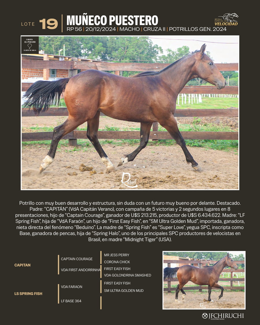 Lote MUÑECO PUESTERO