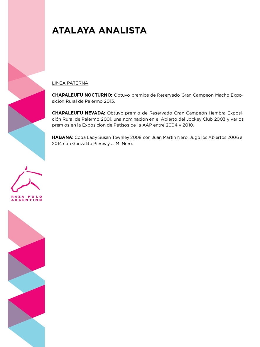 Lote ATALAYA ANALISTA (CHAPALEUFU NOCTURNO - ATALAYA NADINA)