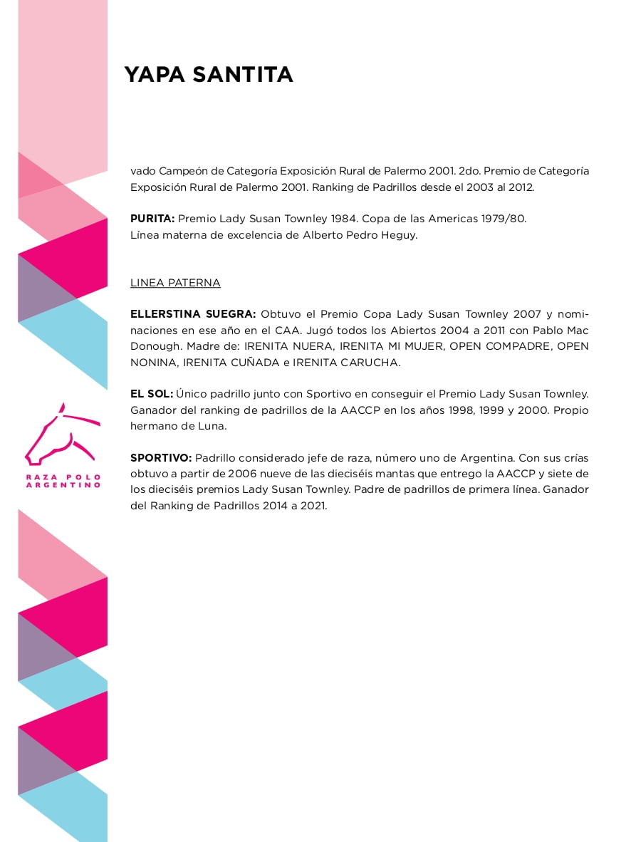 Lote YAPA SANTITA (OPEN SUEGRO - CHAPALEUFU PURITANA)