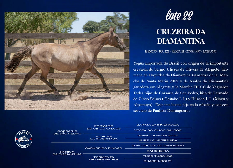Lote Cruzeira Da Diamantina