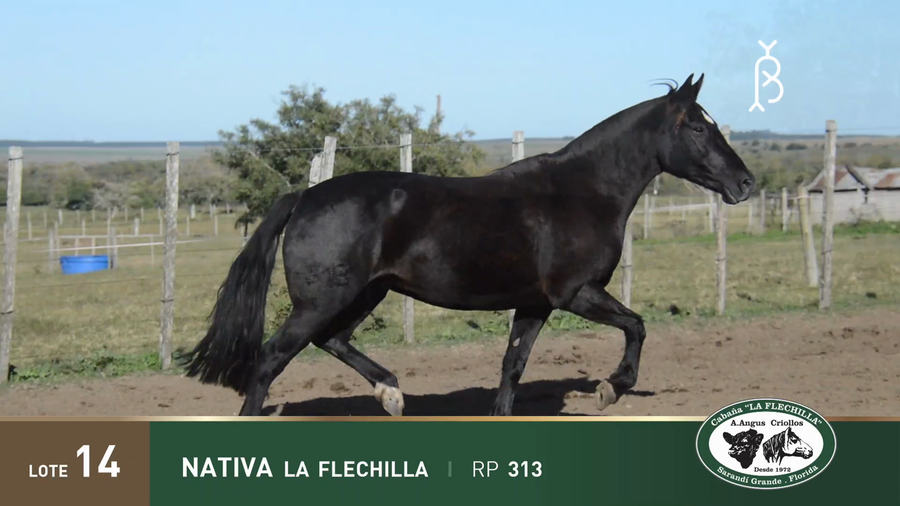 Lote NATIVA LA FLECHILLA