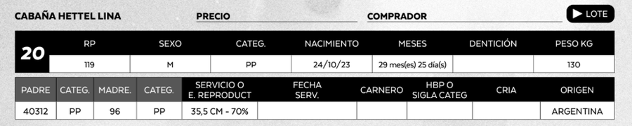 Lote LOTE 20