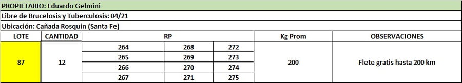 Lote Lote 87 Gelmini eduardo