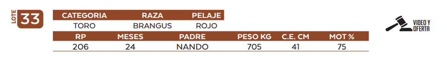 Lote LOTE 33