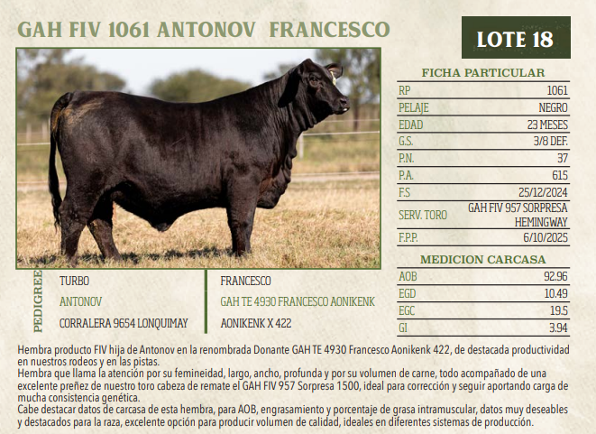 Lote LOTE 18
