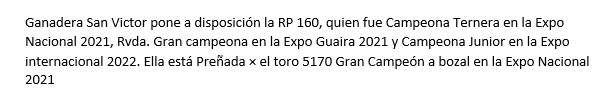 Lote Nelore a Bozal Expo Internacional 2022 RP 160- Lote 15