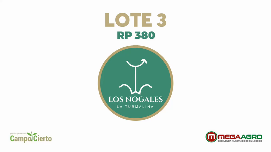 Lote LOS NOGALES