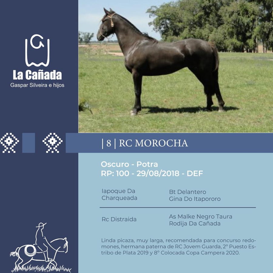 Lote RC Morocha (RP 100) Cabaña "La Cañada"