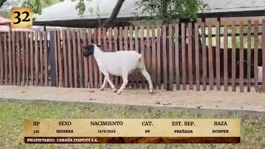 Lote LOTE 32