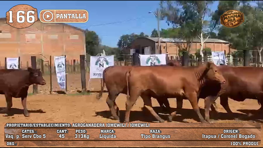 Lote LOTE 166 - PANTALLA