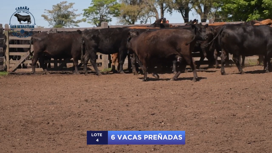 Lote Lote 4 - San Sebastian