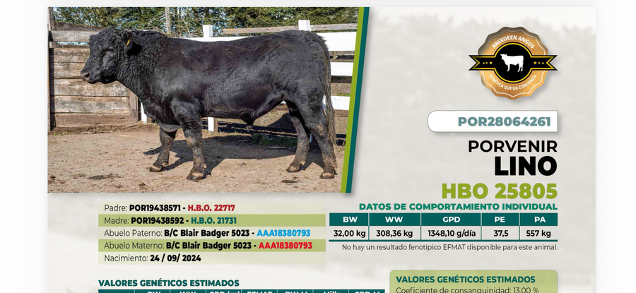 Lote 1 Toro LINO DIIO 4261