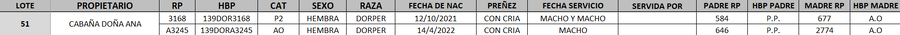 Lote LOTE 51- DESTACADO