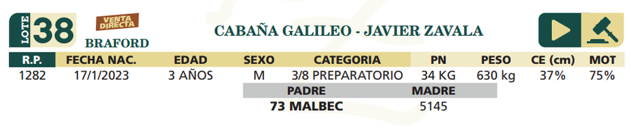 Lote LOTE 38