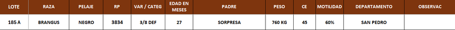 Lote LOTE 185 A
