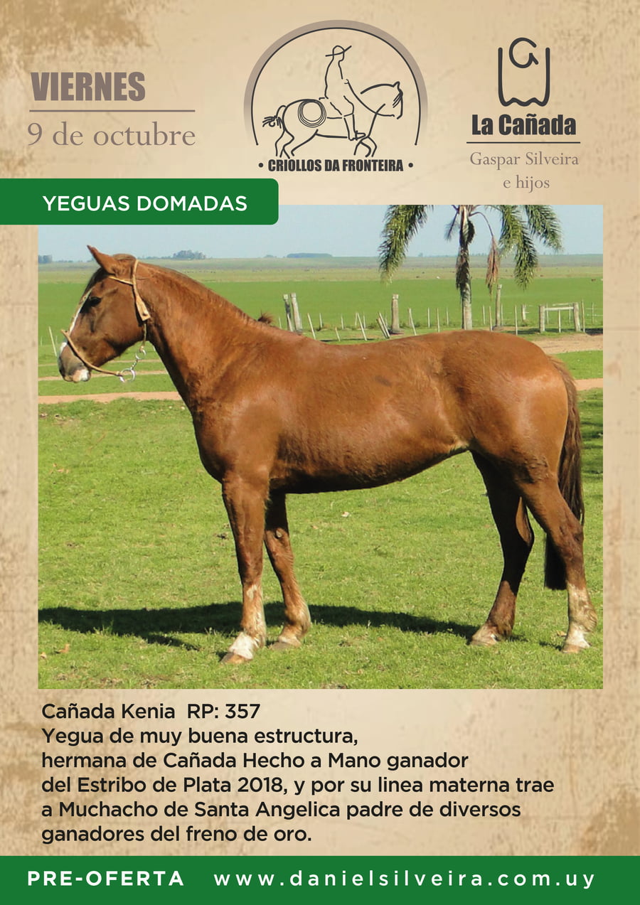 Lote Criollos da Fronteira Cañada Kenia  RP: 357