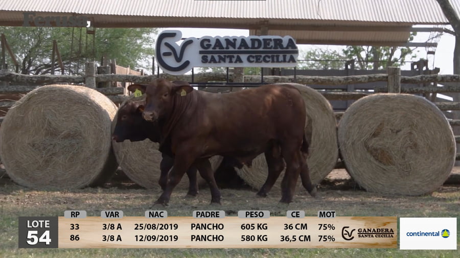 Lote Ganadera Santa Cecilia - Lote 54