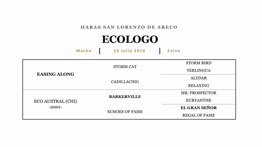 Lote ECOLOGO (EASING ALONG - ECO AUSTRAL)