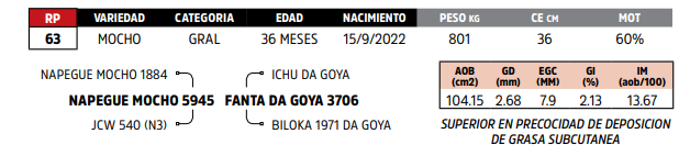 Lote LOTE 89
