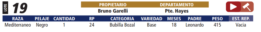 Lote LOTE 19