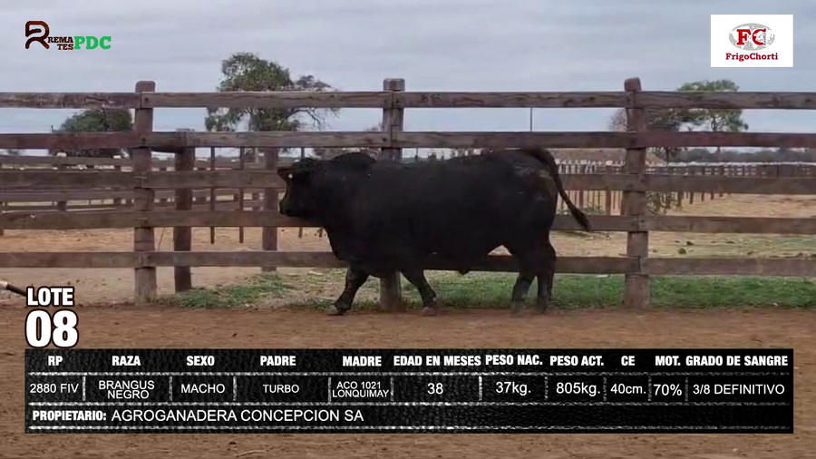 Imagen 1 del Lote Lote AGROGANADERA CONCEPCION SA