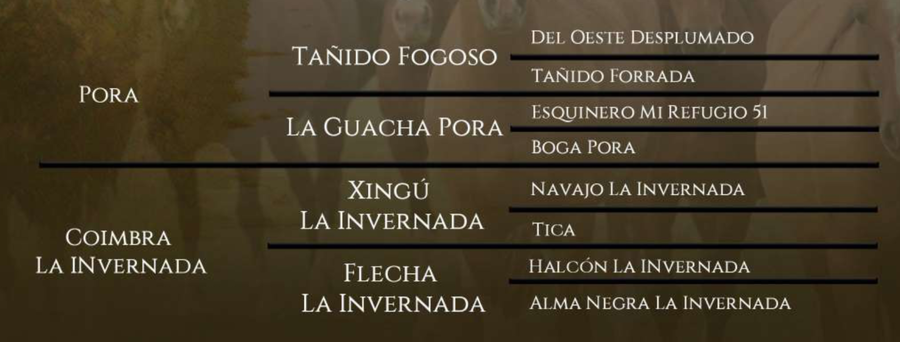 Lote Santa Gloria Cachimba